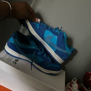 Blueberry dunks